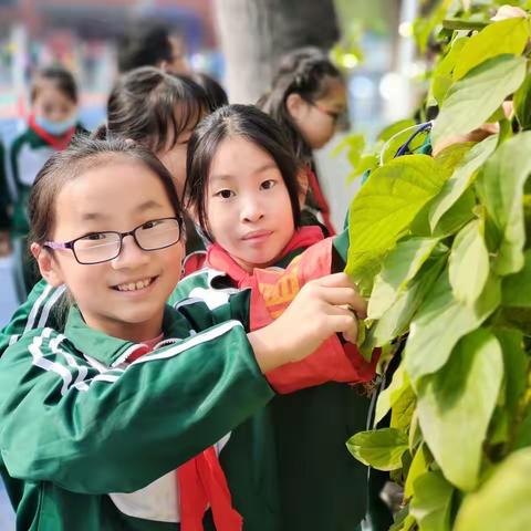 双减行动册 || 南关小学 “减”而不简