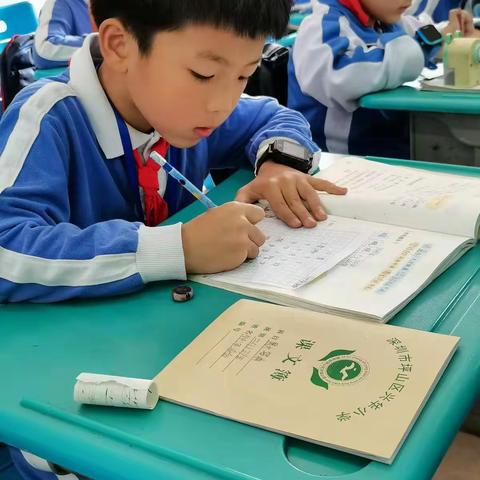 生命引航 语文花开----兴华小学语文活动周