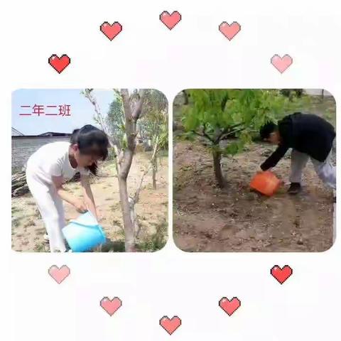 “爱家乡”从我做起