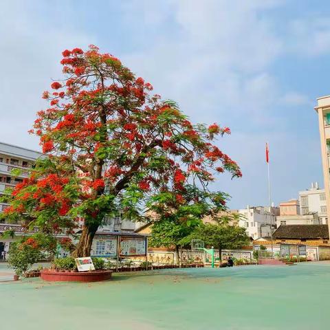 经典浸润心灵，诗文传承文明——2019年归义镇小学校园中华经典诗文诵读大赛