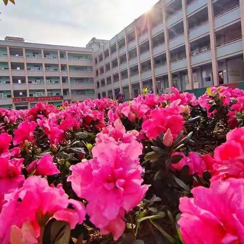 虎年虎力开，一起向未来——新圩中心小学开学典礼