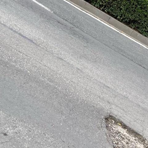 2021年11月5日杨越组巡查情况