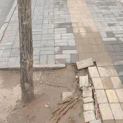 和平巷全线树穴无罩蓖，3处飞线