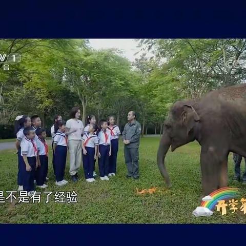 容县石寨镇大荣中心小学——开学第一课