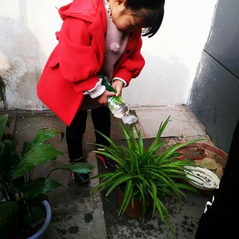 开发区新起点幼儿园植树节活动