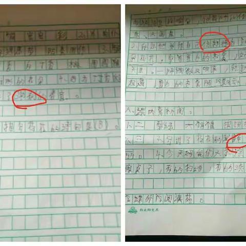 杨村乡张胡庄小学  三年级  (1)                                    记: 停课不停学，家校共育，我们在路上！