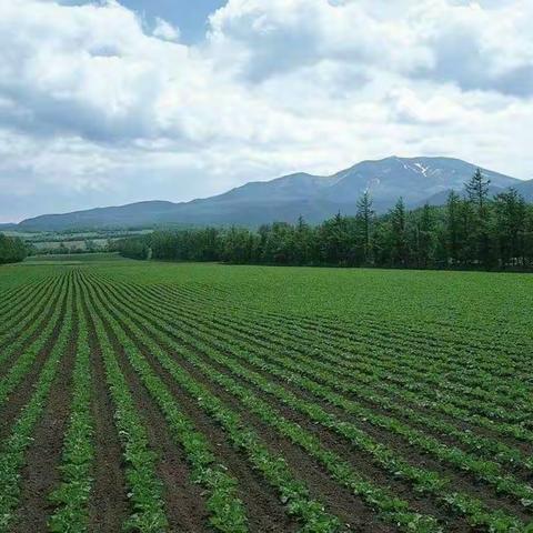 鑫鑫合源“富饶大地”招募活动‖邀您一起期待收获‖第一期体验价39.9元