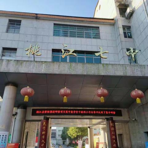 桃江县高中数学骨干教师整校推进工作坊(TJ16)第四次线下研修与第二次校本研修