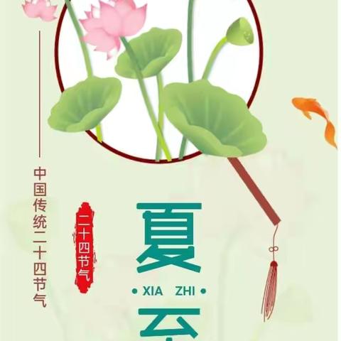【保教管理】声声蝉鸣响，悠悠夏日长——天天正蒙“二十四节气之夏至”系列主题活动