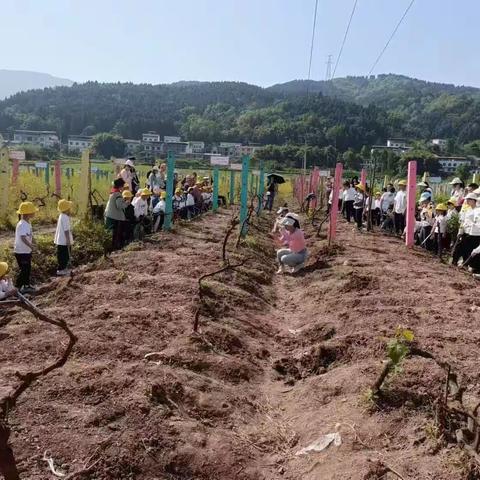 “学有所思，学有所获”汉丰九校一年级10班开展研学实践活动