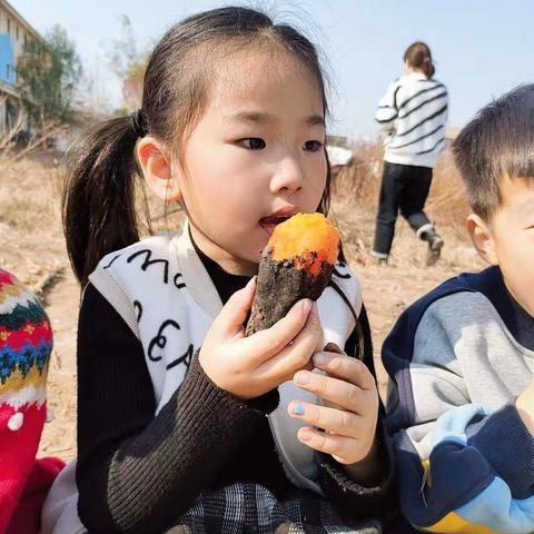 银香国际幼儿园——冬天的第一块烤红薯