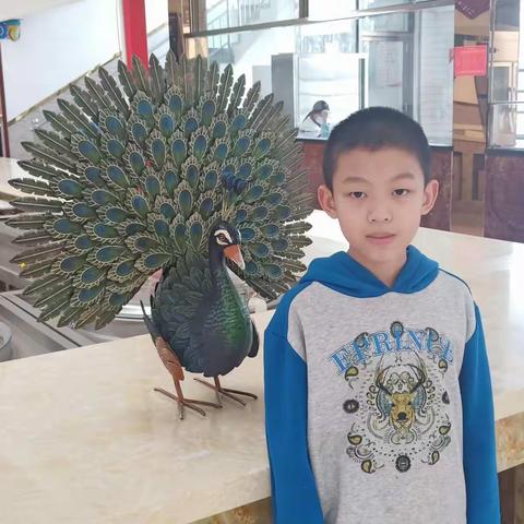 徐水小学四二班郝泰宇——年俗文化档案