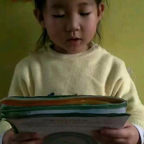 李晨曦小朋友的口头作文作品