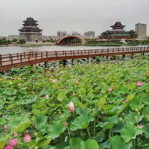 美好山河看河南