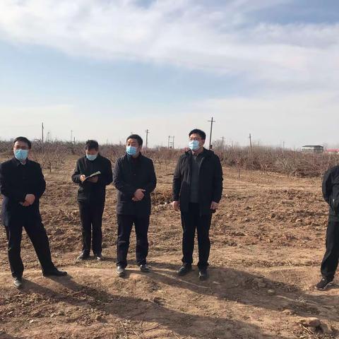 邯山区委副书记刘俊波到万亩桃园示范区现场办公