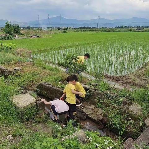 今天是8月29号，星期一，农历7月22，晴天，38度