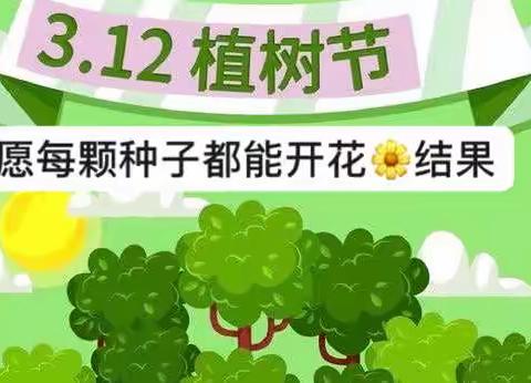 3.12  🌲 愿每个种下梦想的人，都能收获希望