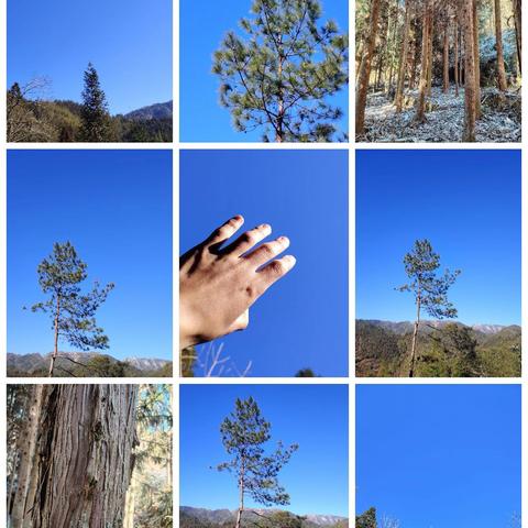 若时光可以倒流，你最想回到什么时候？