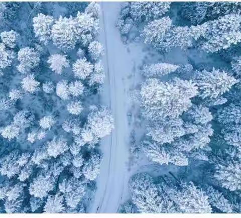 毛山东乡中心小学“雨雪冰冻天气安全防范”致家长的一封信