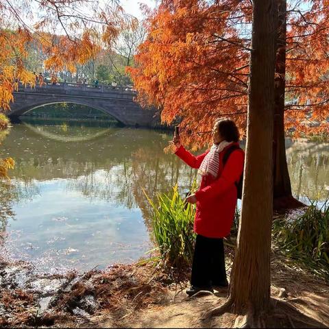 深秋的南京明孝陵秋意浓浓，我和老作踏上尝秋的旅途，沉醉在红黄绿的风景中，留下美好的记忆。