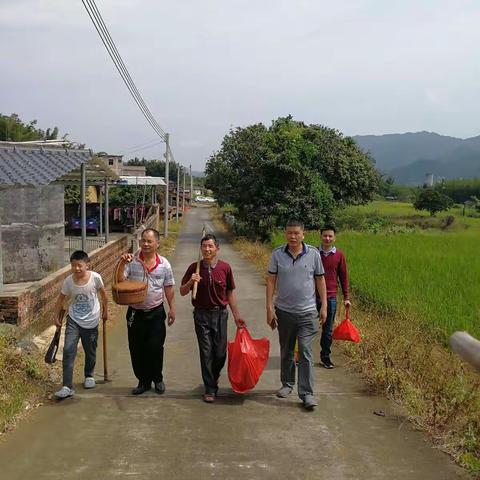 今又重阳，战地黄花分外香！重阳秋雁未衔芦，始觉他乡节候殊！