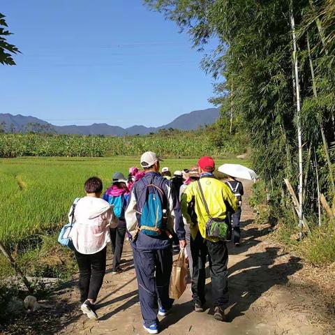 趁星期天有空，再向剪钳石进军✌