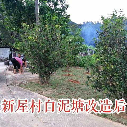 新屋村新农村项目→村庄风景绿化