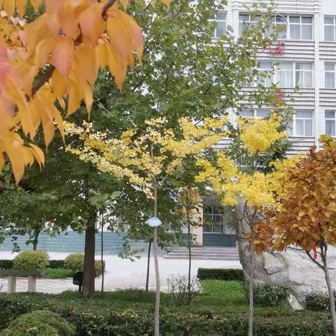 交流互鉴 抱团共进——正宁县市级初中地理学科教研中心暨“优秀教师+”成长共同体山河初中教研活动掠影