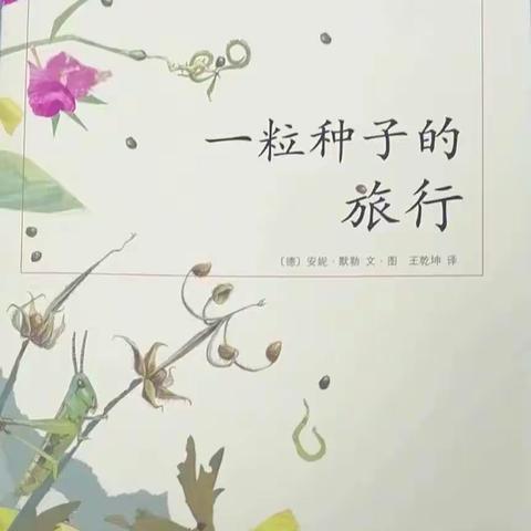 PYP探究话题“生物都有生长变化的过程”——《一粒种子的旅行》