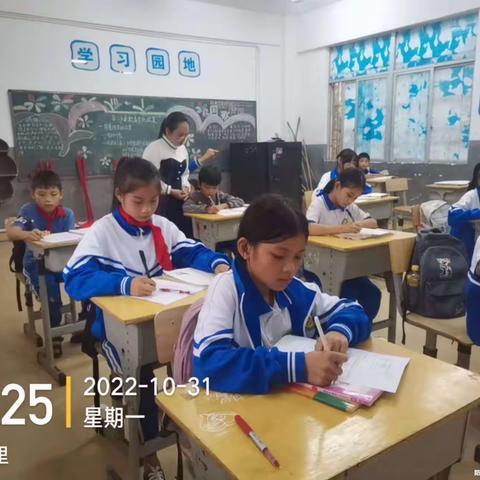 七坊镇长龙小学第10、第11周开展课后服务活动简讯