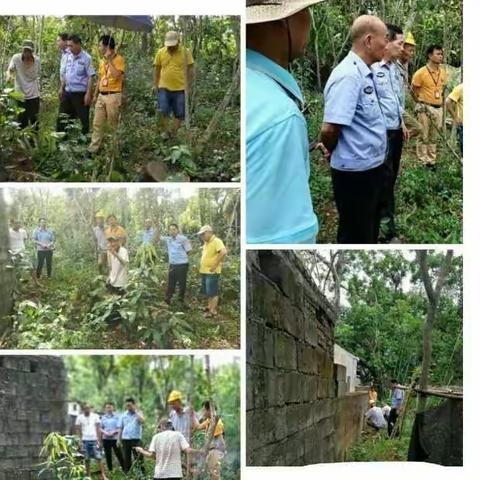 龙桥镇专职调解员到三角园村委会调解刘某与刘某宽宅基地界线纠纷