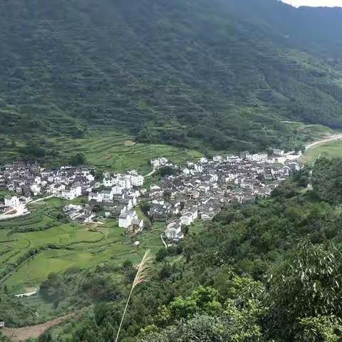 为婺源发展建一言