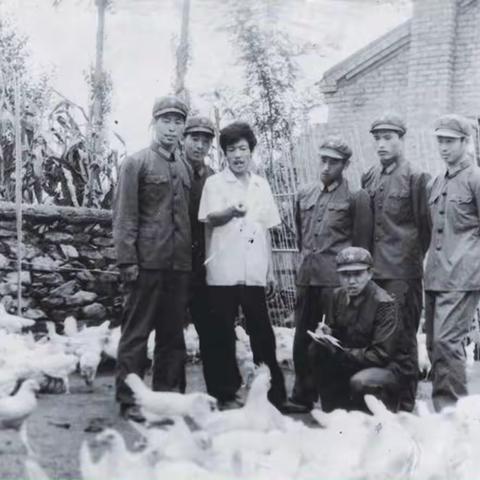 1984年八连的这张老照片的故事