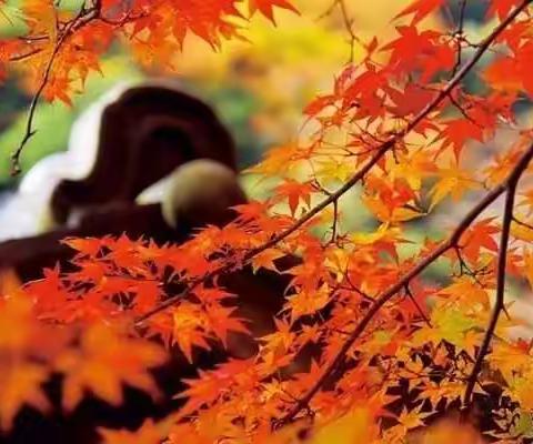 付记早点免费送 爱心善举暖人心