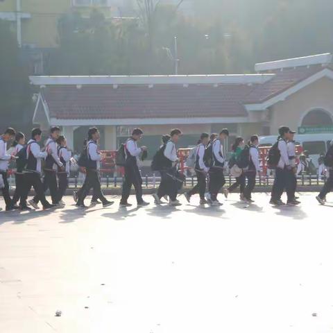 春日好风光——七（四）班