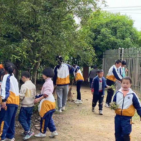师生齐动手，除草靓校园——何岭小学除草活动