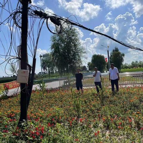 团林镇开展“空中蜘蛛网”专项整治工作，助推全国文明城市创建以及精品屯打造工作