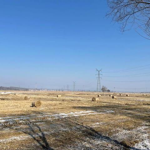 团林镇秸秆离田新模式，促进秸秆综合利用