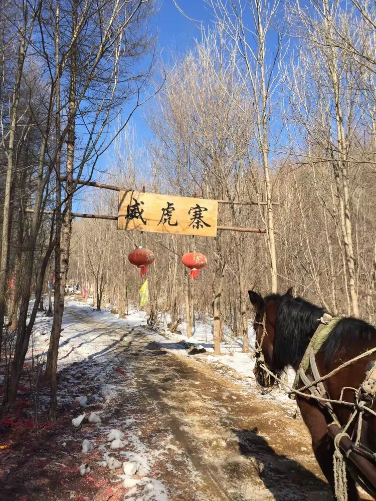 东北行