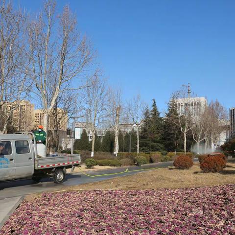 【平阴】人勤春早  环卫绿化管护中心积极推进春季绿化综合养护工作