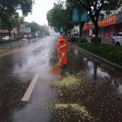 【平阴】风雨逆行  守护洁净