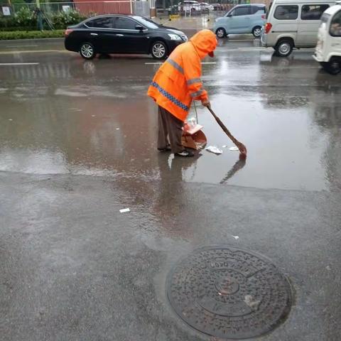 【平阴】县环卫绿化管护中心全体人员栉风沐雨  守护城市洁净、靓丽