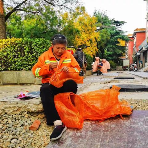 【平阴】秋风起  落叶飘  环卫工人收集忙