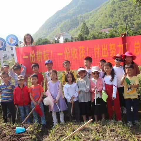 一起动手齐种菜 实验小学一（3）班蔬菜种植实践活动