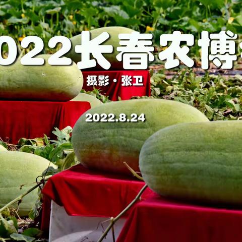 第二十一届中国长春国际农业-食品博览会，（2022.8.24拍摄）摄影：张卫