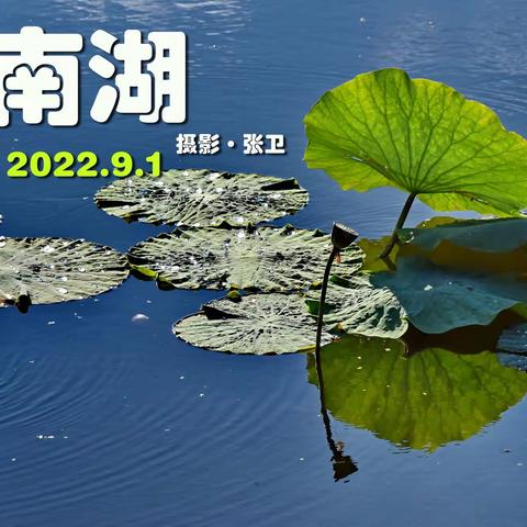 九月长春南湖（2022-9-1）