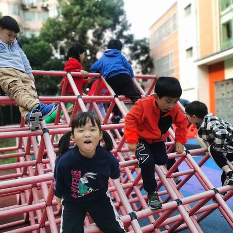 12.6-12.10大班一周小记