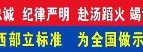 残特奥会消防安保系列（二）——扶风大队南大街站所辖卫星站开展“残特奥会”期间消防安全检查及安保工作