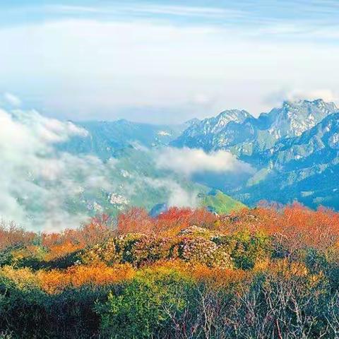 “当好秦岭生态卫士，保护秦岭生态环境”----砲里街道西垇小学秦岭生态环境保护宣传周活动