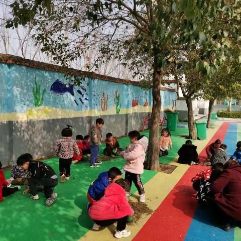 春风十里，正植有你